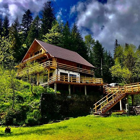 Cabana Cota 1000 อาริเอเชนิ ภายนอก รูปภาพ