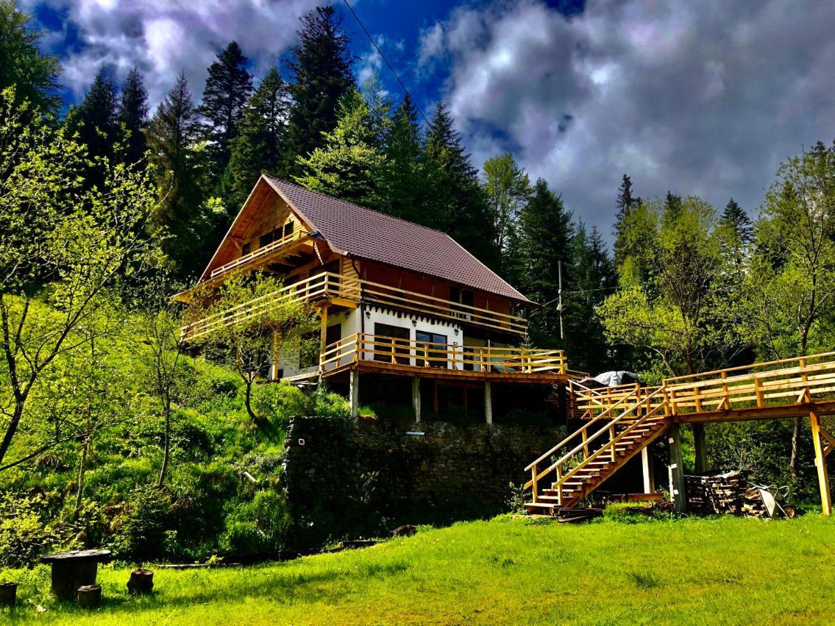 Cabana Cota 1000 อาริเอเชนิ ภายนอก รูปภาพ