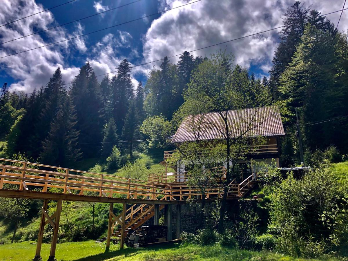 Cabana Cota 1000 อาริเอเชนิ ภายนอก รูปภาพ
