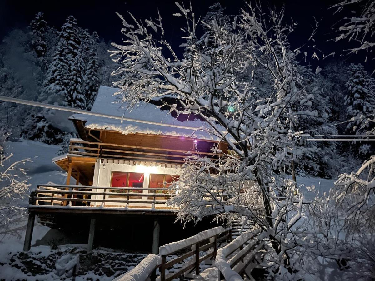 Cabana Cota 1000 อาริเอเชนิ ภายนอก รูปภาพ